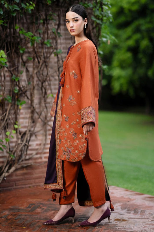 Rust & Plum Contrast Embroidered Dhanak Suit