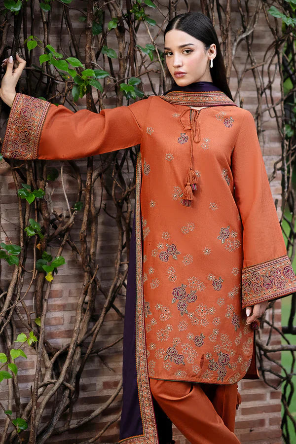 Rust & Plum Contrast Embroidered Dhanak Suit