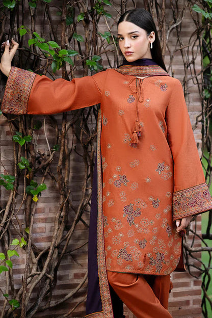 Rust & Plum Contrast Embroidered Dhanak Suit