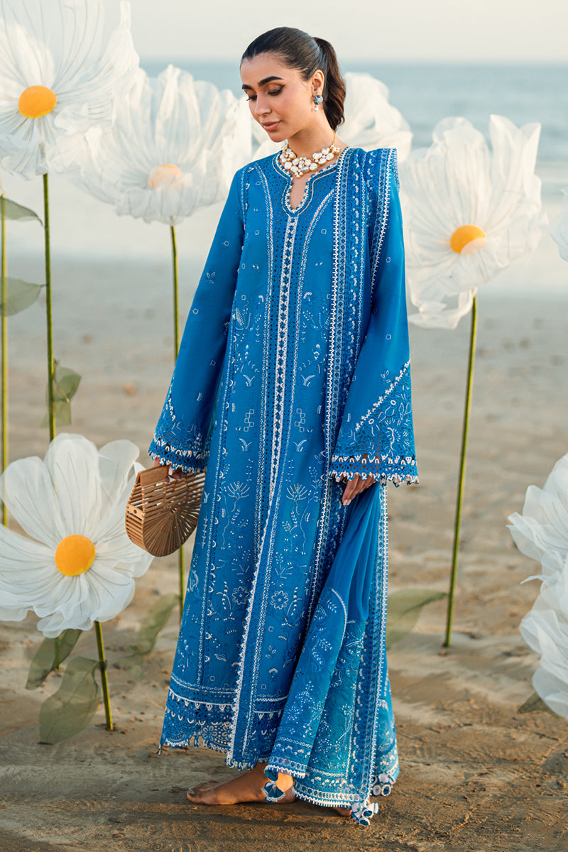 Elegant Blue Embroidered Dhanak 3-Piece Suit