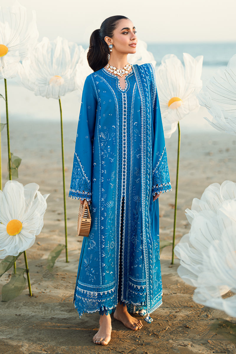 Elegant Blue Embroidered Dhanak 3-Piece Suit